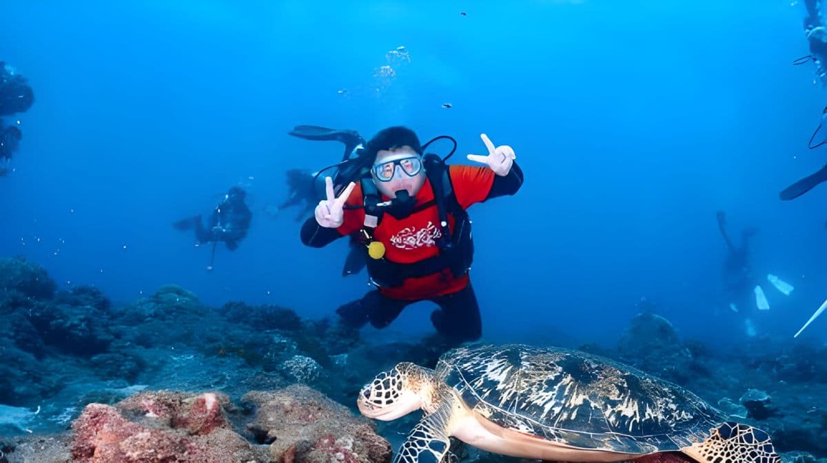 Expérience de plongée à l'île de Liuqiu à Pingtung, plongée sous-marine 2 heures [Plongée à Xiaoliuqiu | À la rencontre des tortues marines]