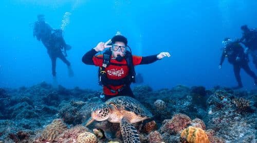 Pingtung Liuqiu Island diving Experience Scuba diving 2 Hours [Xiaoliuqiu diving| Sea Turtle Roaming]