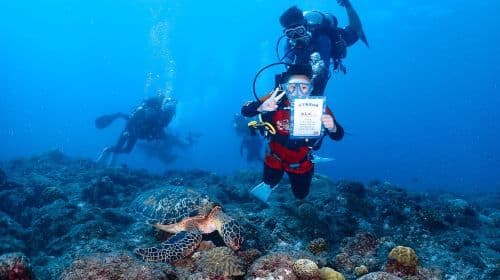 Expérience de plongée à l'île de Liuqiu à Pingtung, plongée sous-marine 2 heures [Plongée à Xiaoliuqiu | À la rencontre des tortues marines]