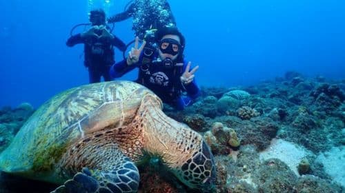 Pingtung Liuqiu Island diving Experience Scuba diving 2 hours [Xiaoliuqiu One-to-one No License diving Experience | Bear diving]