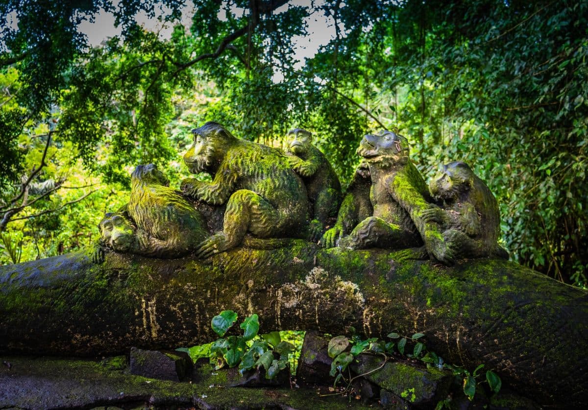 Bali Customize Day Trip With Licensed  Japanese Speaking Driver