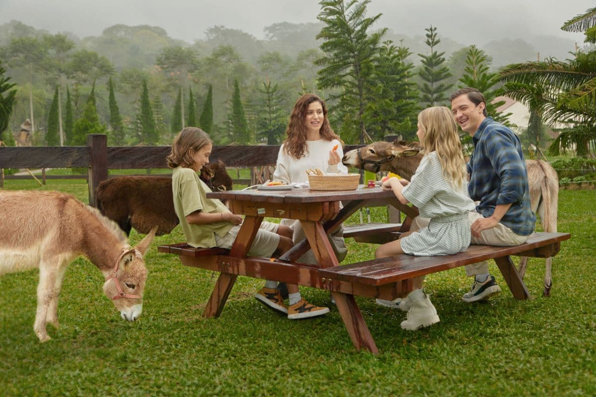 Bali Farm House Activity