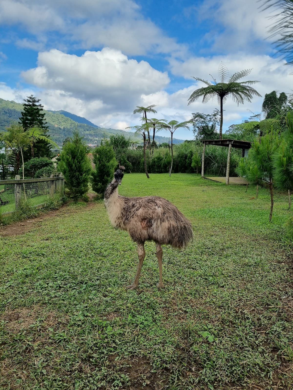 Bali Farm House Admission Ticket