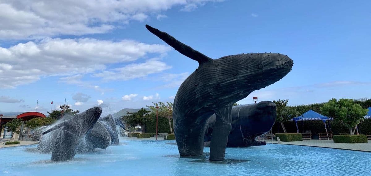 Pingtung Marine Life Museum: Journey with the Fish, Overnight Mini Narrator, Night Patrol Tide Sea Party & My Penguin