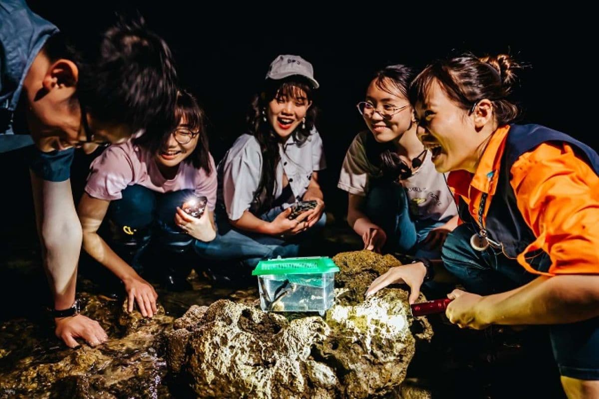 Pingtung Marine Life Museum: Journey with the Fish, Overnight Mini Narrator, Night Patrol Tide Sea Party & My Penguin