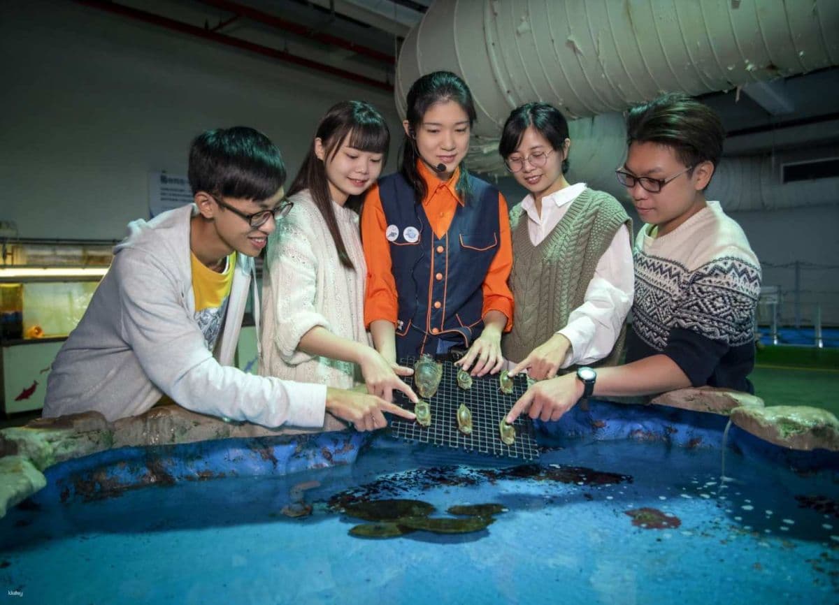 Pingtung Marine Life Museum: Journey with the Fish, Overnight Mini Narrator, Night Patrol Tide Sea Party & My Penguin