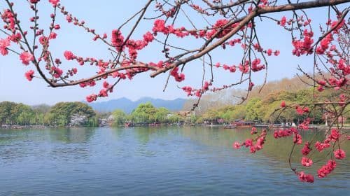 Hangzhou: West Lake + Lingyin Temple + Songcheng| Customized day tour with private charter[Chinese, English, Russian, French, German and Spanish]# Day Tours