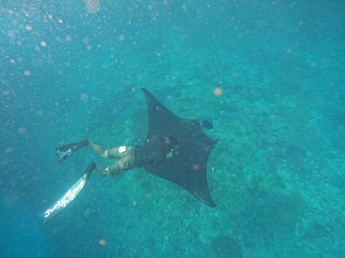 3 Point Snorkeling Nusa Penida