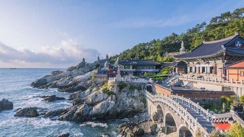 Busan One Day City Tour with Blueline Park Songjeong Beach Train (Haedong Yonggungsa Temple + Songdo Skywalk + Gamcheon Culture Village) Day Tours