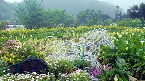 Beitou Geothermal Valley, Yangmingshan Scenic Area, and Yehliu Day Tour (Hotel Pickup) Day Tours