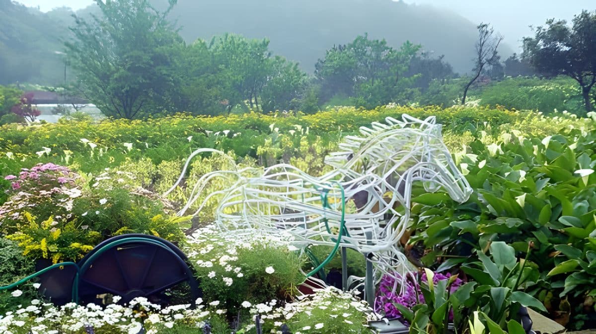 Beitou Geothermal Valley, Yangmingshan Scenic Area, and Yehliu Day Tour (Hotel Pickup) Day Tours