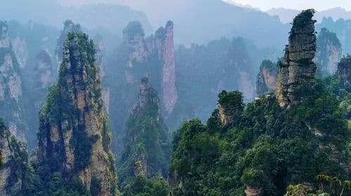 Private Day Tour: Discover Zhangjiajie National Forest Park-Avatar Mountain