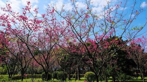 Voiture privée : Exploration de Taipei sur mesure de 8 heures ! Excursions d'une journée