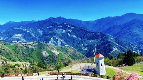 Qingjing Farm + Gaomei Wetlands One-Day Tour from Taichung | Limited-time offer Day Tours