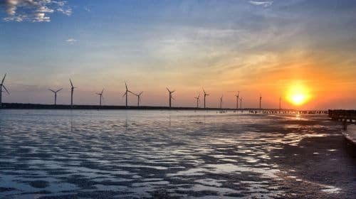 Qingjing Farm + Gaomei Wetlands One-Day Tour from Taichung | Limited-time offer Day Tours