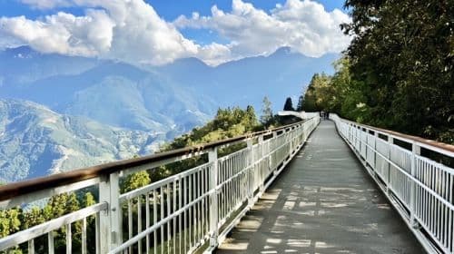 Qingjing Farm + Gaomei Wetlands dagtour vanuit Taichung | Tijdelijke aanbieding dagtochten