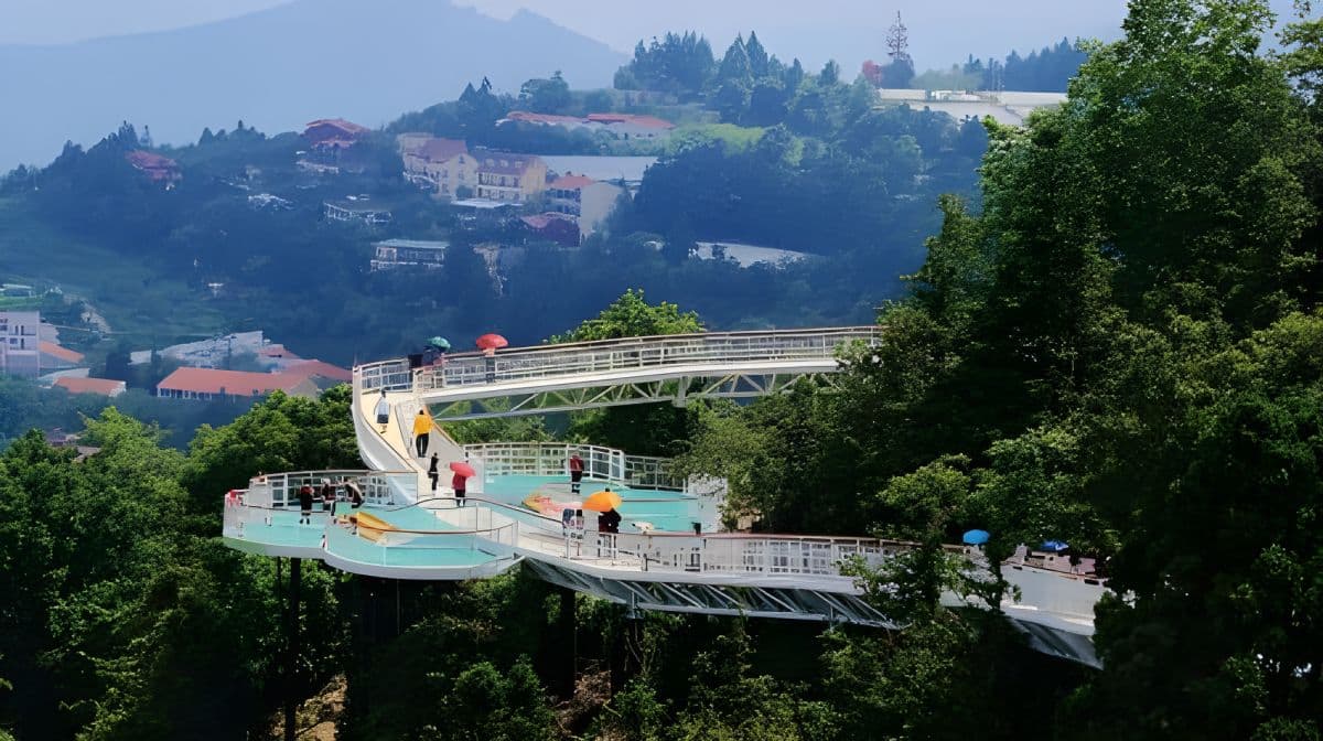 Tour di un giorno a Qingjing Farm + Gaomei Wetlands da Taichung | Offerta a tempo limitato Day Tours