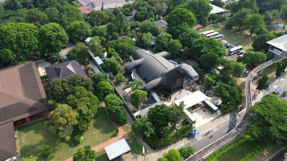 Jagat Satwa Nusantara – Museum Komodo