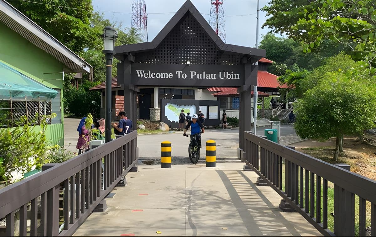 Pulau Ubin - Pranzo a base di pesce e tour di Chek Jawa