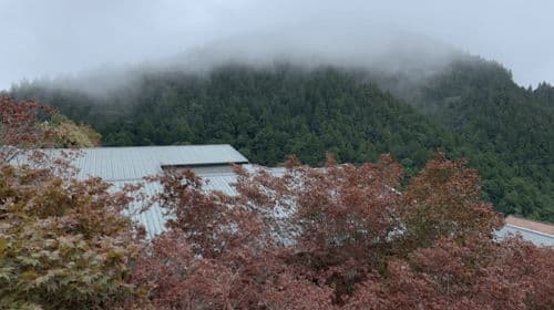 From Taipei: Taipingshan & Jiuzhize Hot Spring Private Tour Day Tours