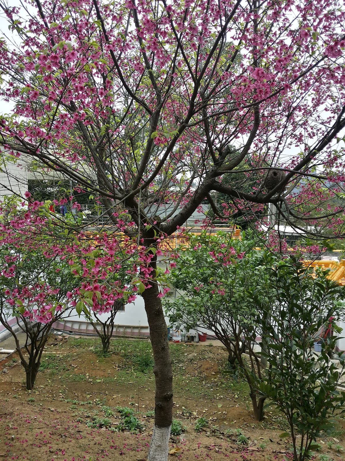 Wumazhai Ecological Garden