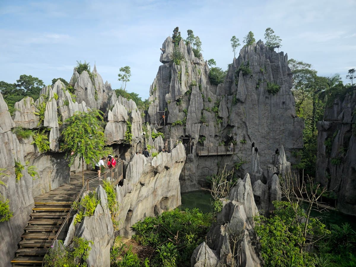 Rainforest Wild Asia