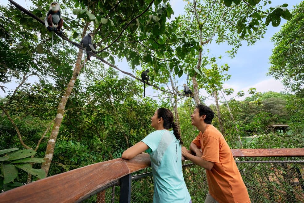 Rainforest Wild Asia