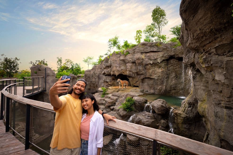 Rainforest Wild Asia