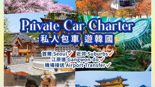Chárter privado en Seúl (4-10 horas) | Seúl Seongsu-dong Cafe Street Traslados al aeropuerto Excursiones de un día