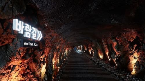 Seoul: Dagtocht naar Suwon Hwaseong Fortress vanuit Seoul