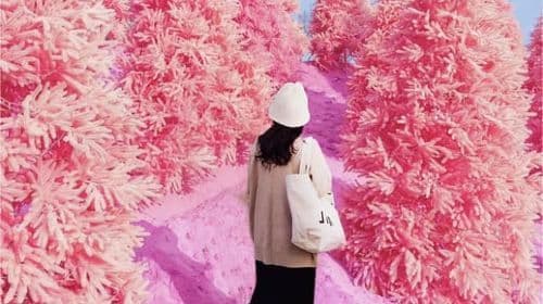 Seoul: Winter Day Tour in Pocheon with Strawberry Picking