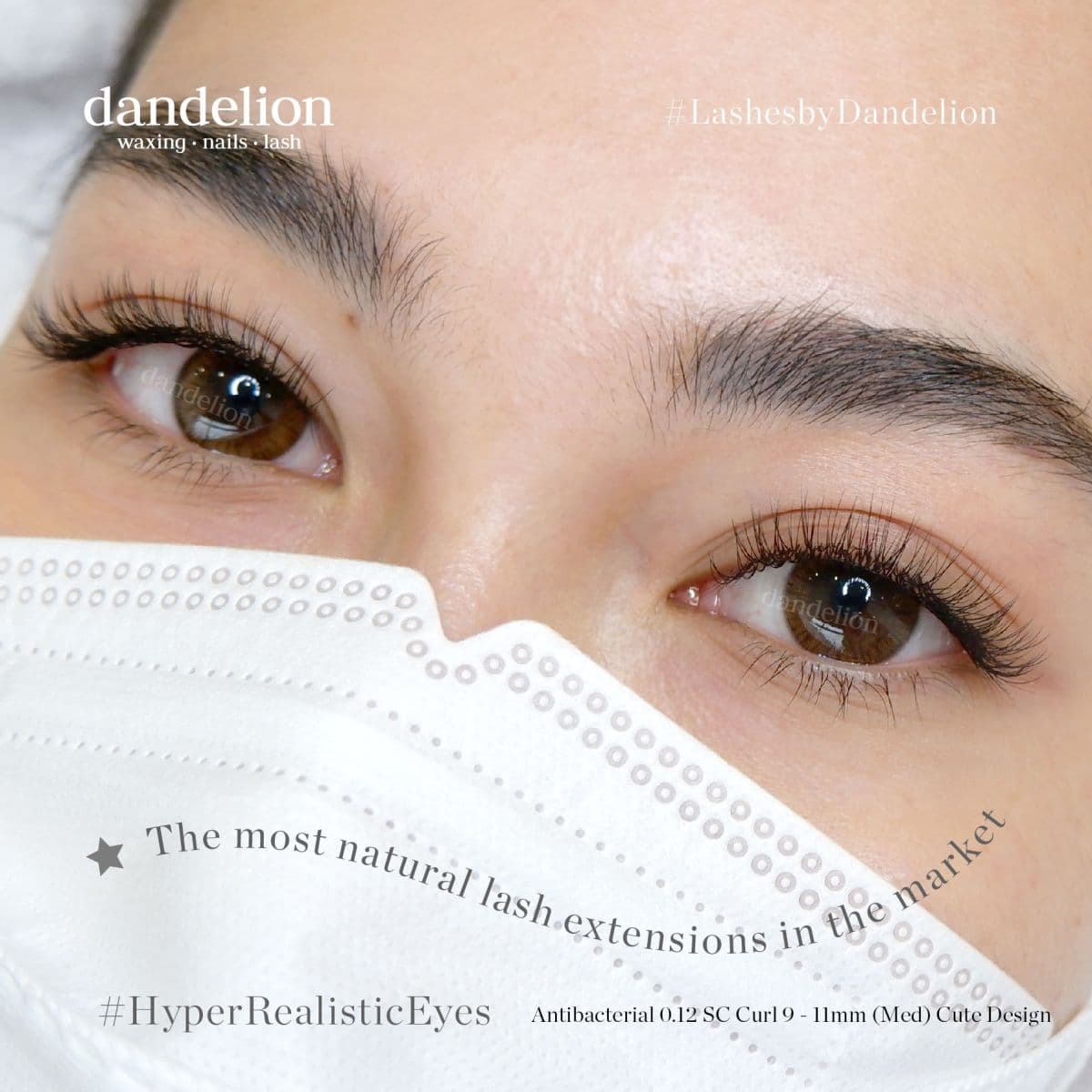 Dandelion ID Menteng