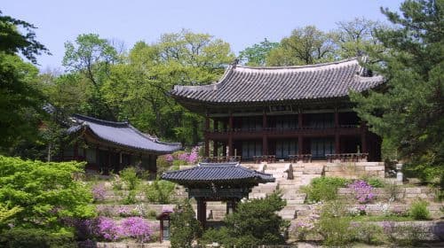 [From Seoul] one-day tour with shared tour private charter : Gyeongbokgung Palace, Bukchon, and Gwangjang Market Day Tours