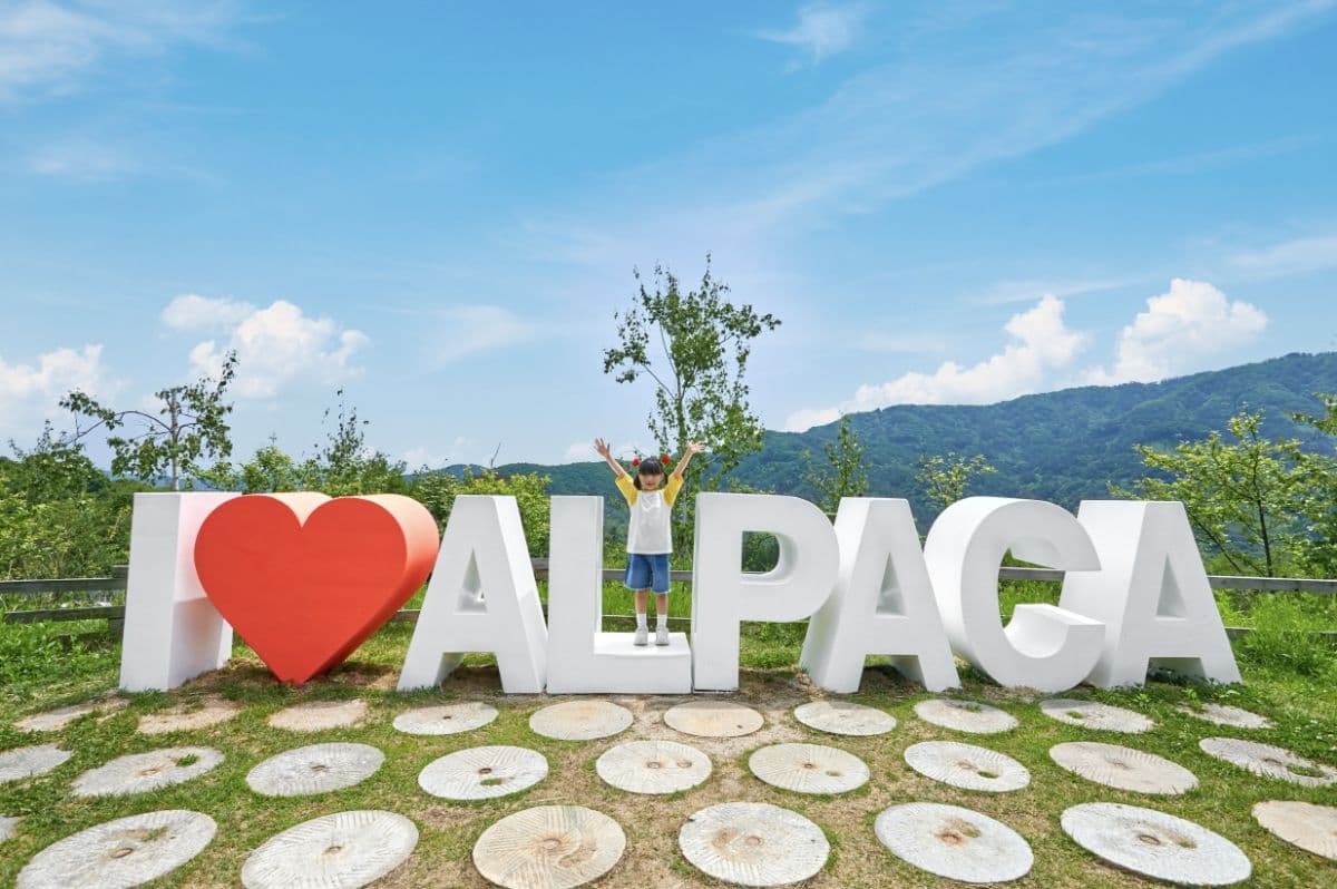 [Gangwon] Biglietto d'ingresso per Alpaca World