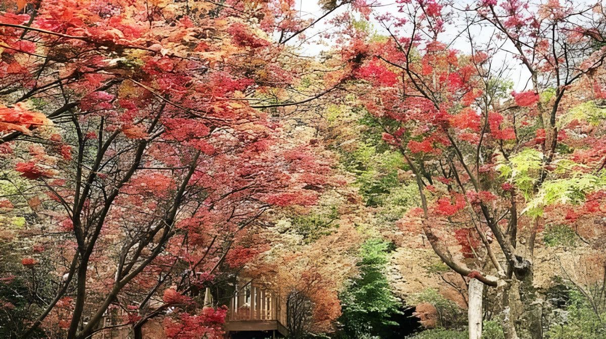Futian Village