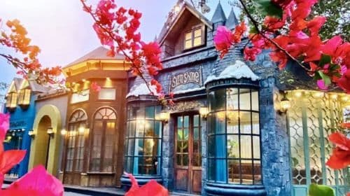 Green Fantasy Forest