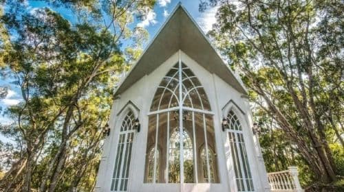 Green Fantasy Forest