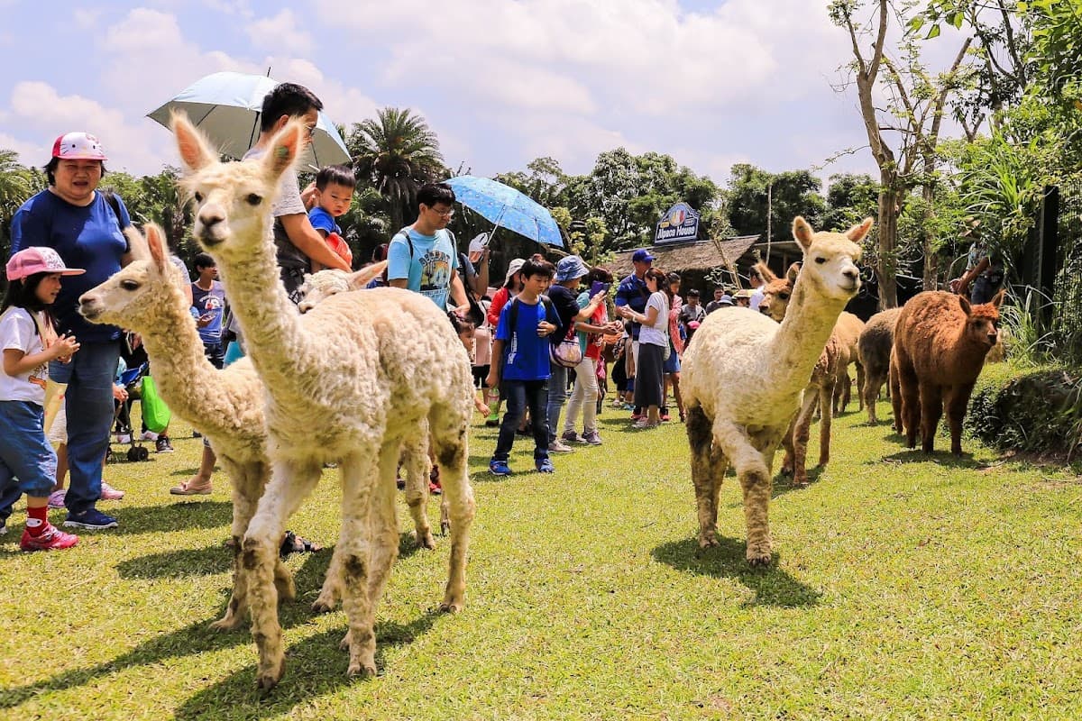 Green World Ecological Farm