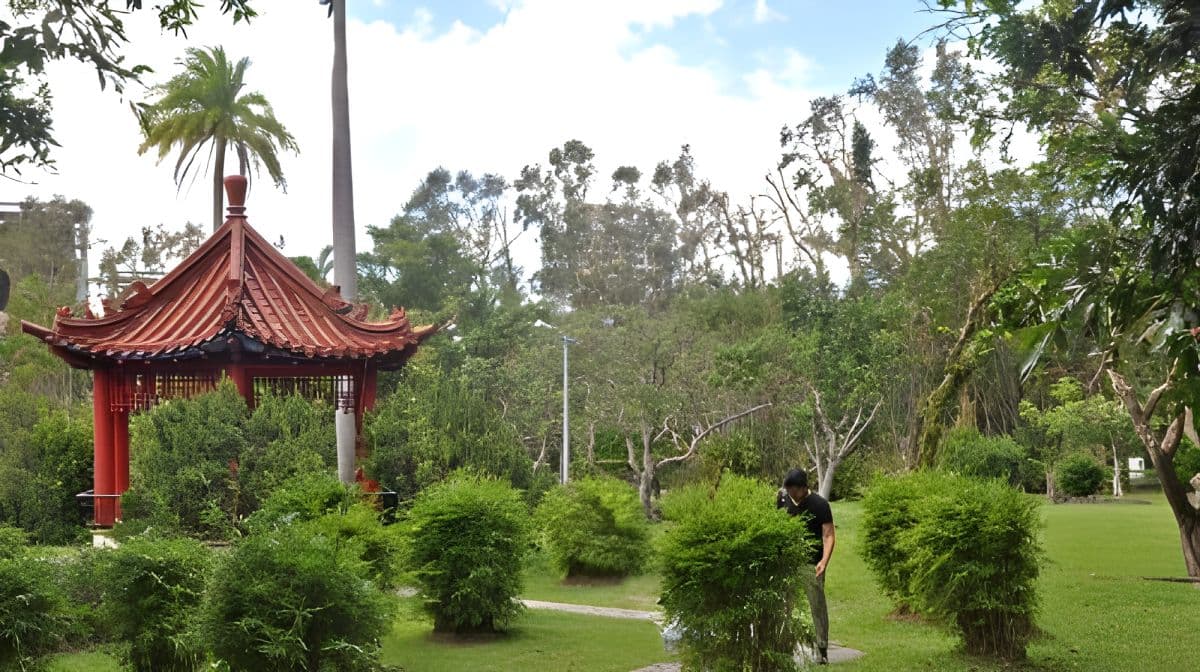 Republic of China時代の歴史的遺物 - The Jiangs Cultural Park + Chiang Kai-shek Memorial Hall 日帰りツアーで当時の影響力のある人物の足跡を辿る
