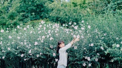 Travel photography in Yongin, South Korea[Driver and guide + travel photography + wedding photos, aerial photography, micro-film + makeup and Clothes & Accessories+ itinerary customization + unlimited