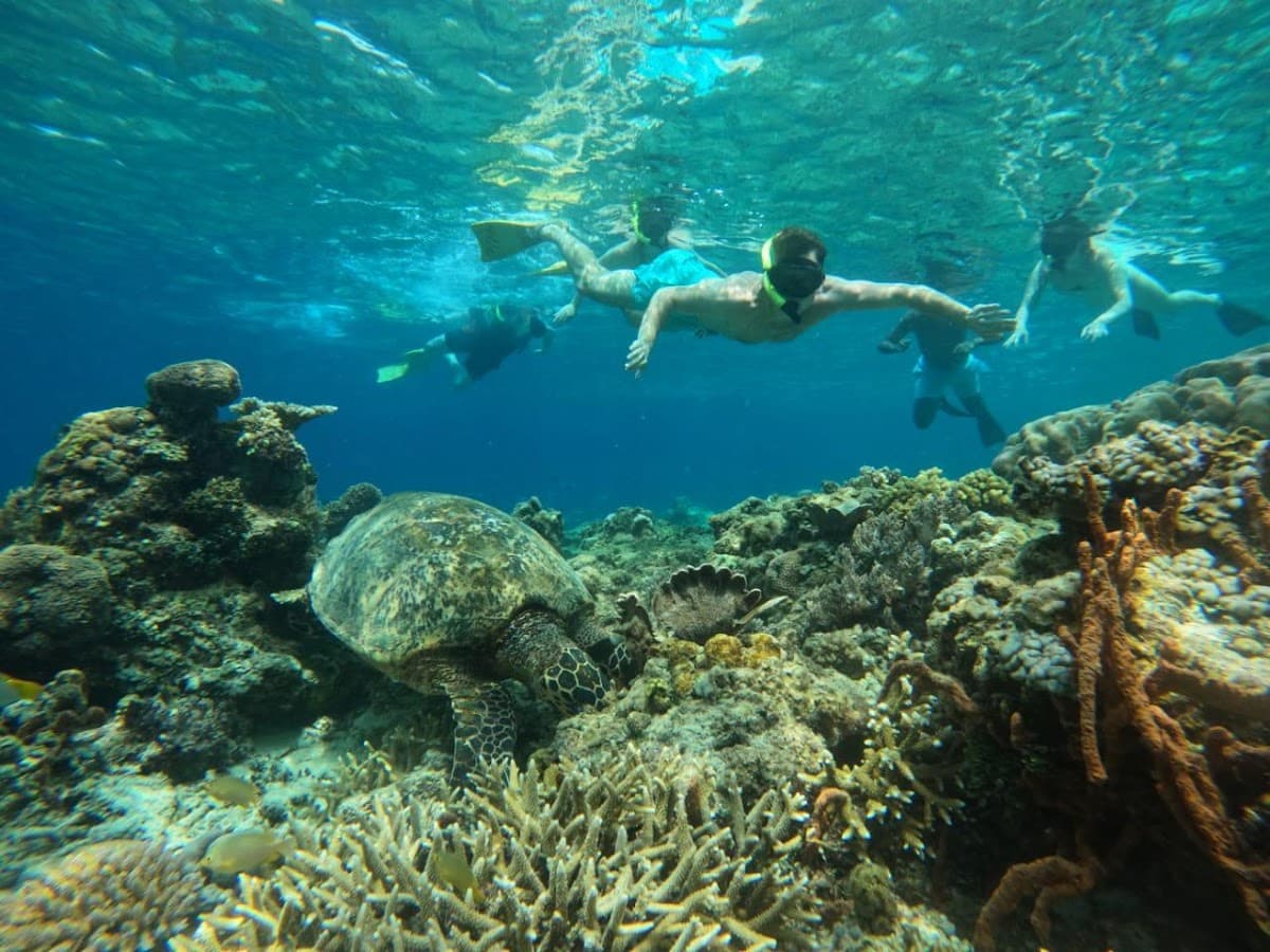 Bali Lombok Trawangan Tours Packages