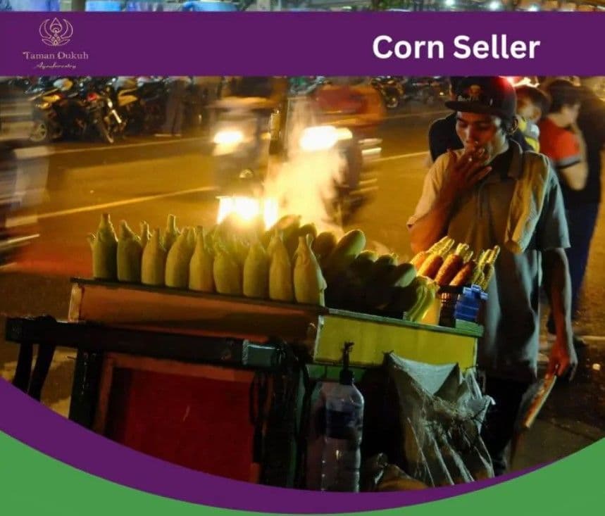 Bali Night Market & Food Tours in Ubud