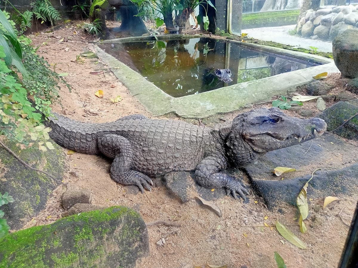 Bali Reptile Park