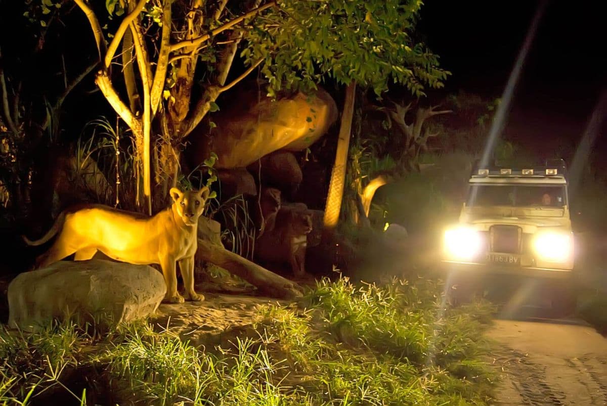 Bali Safari dla osób nieposiadających indonezyjskiego dowodu osobistego