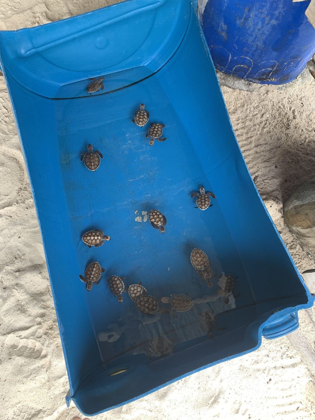 Belitung 3D2N Exclusive Private Trip