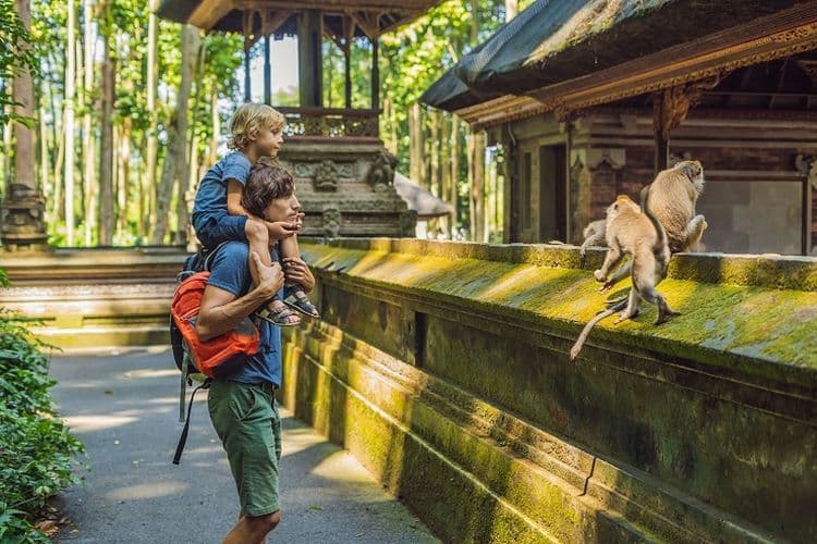 Beste ATV Quad Avontuur met Ubud Highlight Tours