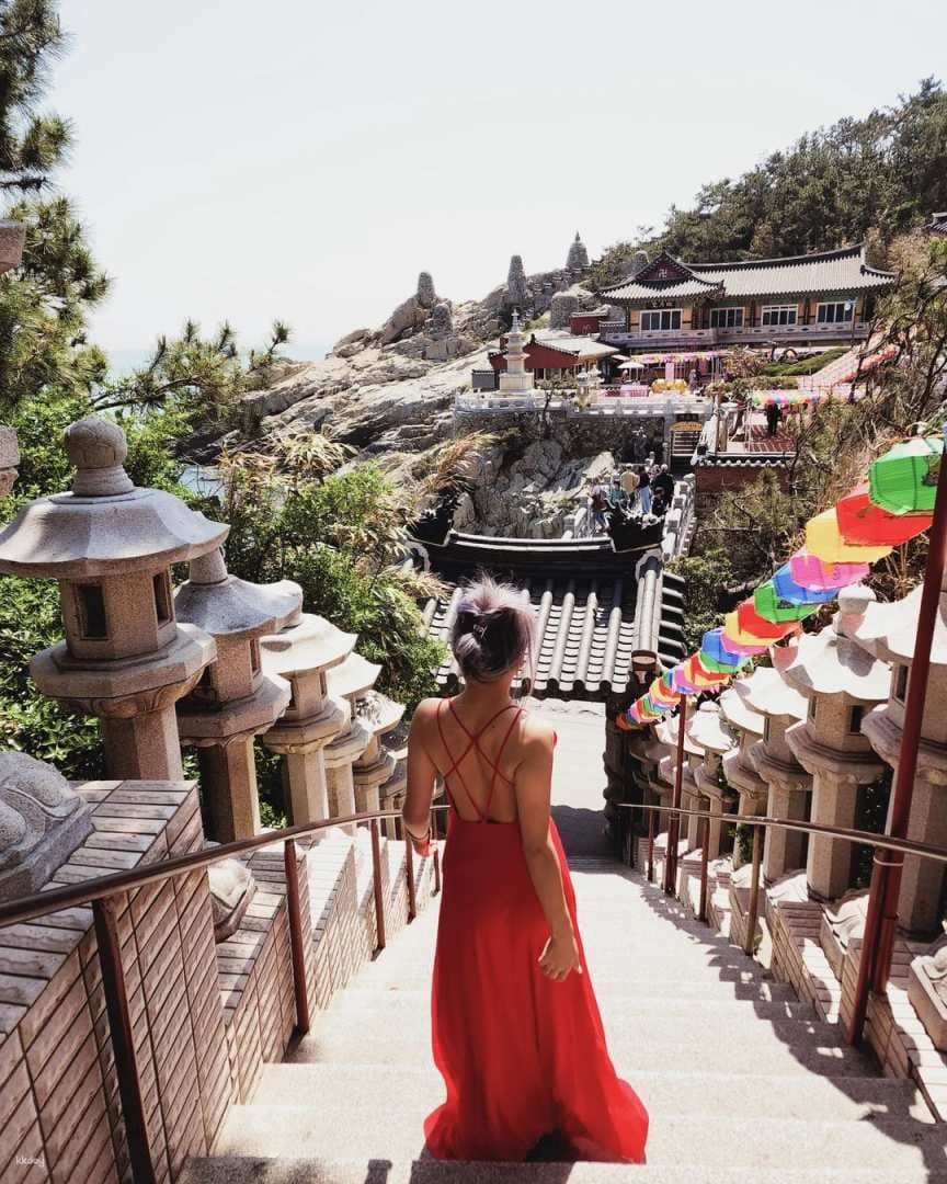 Busan One Day Tour: Gamcheon Culture Village, Haeundae Blueline park | South Korea