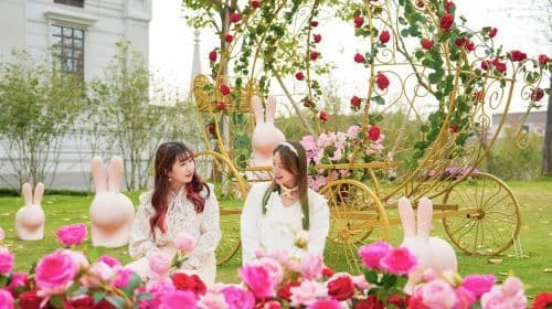 Jourdeness Castle Biotech Park