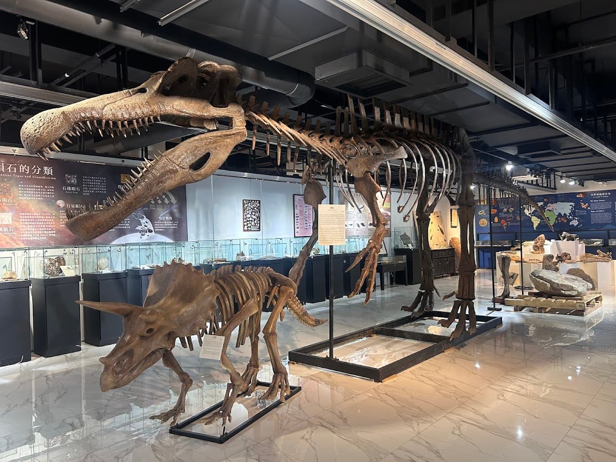 Jurassic Museum