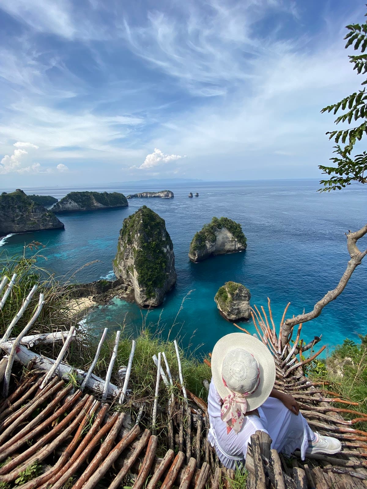 Combine Nusa Penida One Day Tour